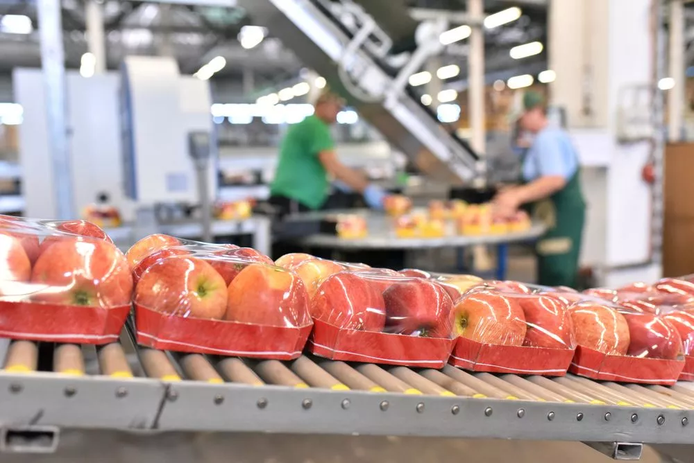 What is Food Packaging Automation?